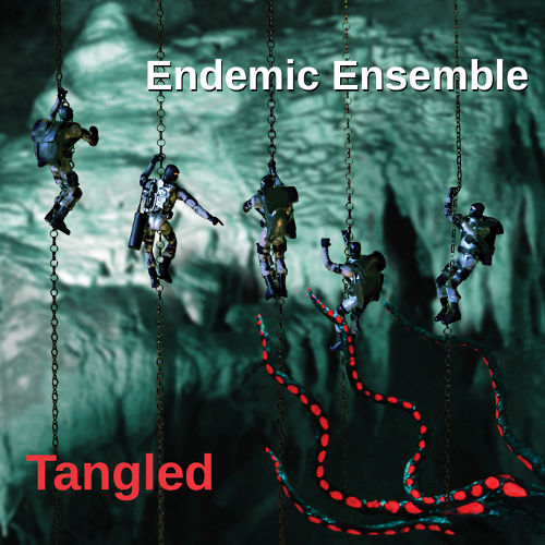 Endemic Ensemble: Tangled